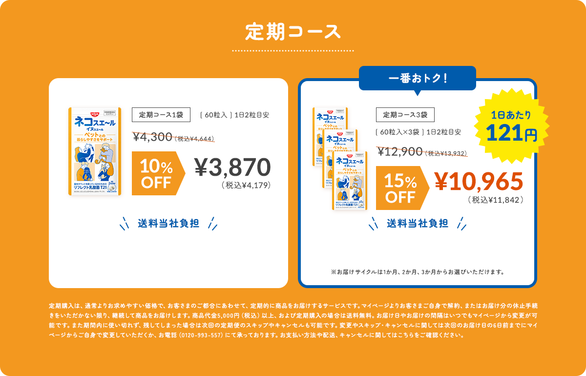 定期コース