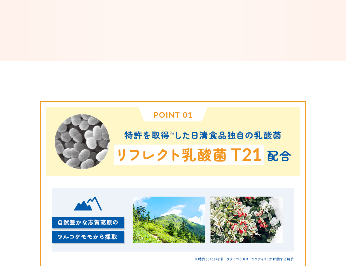 特許を取得※した日清食品独自の乳酸菌リフレクト乳酸菌T21 配合