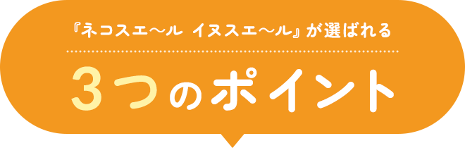 3つのポイント